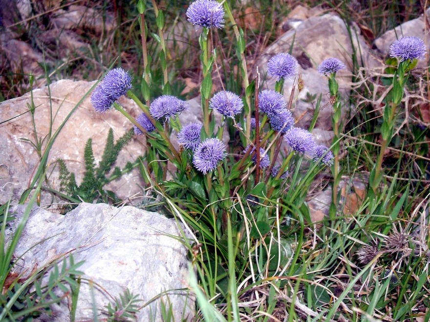 I colori del Gargano